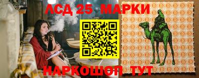 мяу мяу мука Будённовск
