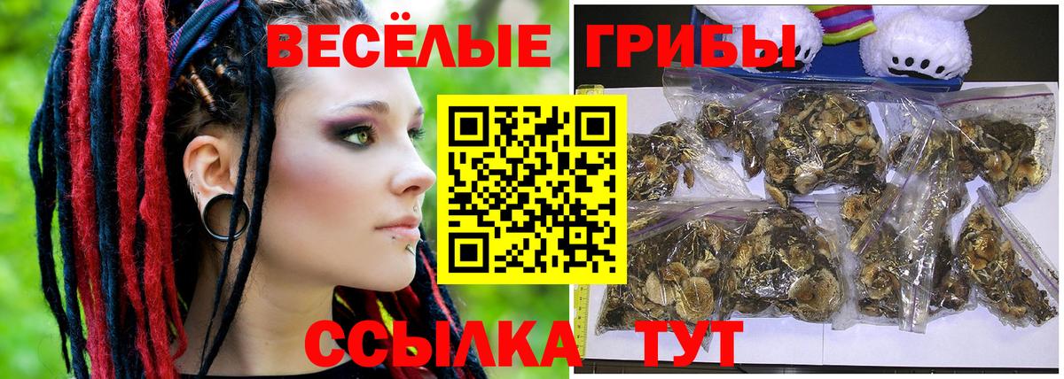 Одинцово  Псилоцибиновые грибы Magic Shrooms  Вход с VPN  купить  сайты  Галлюциногенные грибы Cubensis 